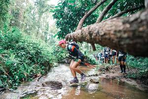 BIB: 
                            <button type="button" onclick="openModal(25374697)" class="btn btn-primary btn-sm float-right btn-popup" data-toggle="modal" data-target=".modal-high-quality">
                        <i class="fas fa-shopping-cart"></i> Add to Cart
                    </button>
                                            <button type="button" onclick="isThisMe(25374697, true)" class="btn btn-success btn-sm float-right btn-popup btn-isme hidden" data-toggle="tooltip" data-placement="bottom" title="นี่คือรูปของคุณใช่ไหม คลิกที่นี่เพื่อเอาเข้าอัลบั้ม">
                        <i class="fas fa-plus"></i> Add to album
                    </button>
                    <button type="button" onclick="isThisMe(25374697, false)" class="btn btn-warning btn-sm float-right btn-popup btn-isnotme hidden">
                        <i class="fas fa-ban"></i> Remove from album
                    </button>